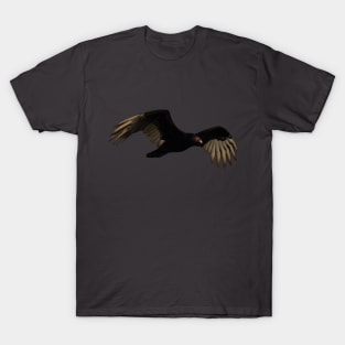 Turkey Vulture in Flight T-Shirt